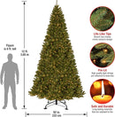 National Dunhill Fir Christmas Tree with up to 1200 Clear Lights, Hinged, Stand included.