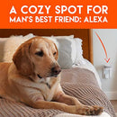 made for amazon outlet shelf for amazon echo speaker devices