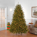 National Dunhill Fir Christmas Tree with up to 1200 Clear Lights, Hinged, Stand included.