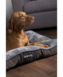 scruffs dog bed gray