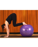 dragonfly yoga 55cm yoga ball